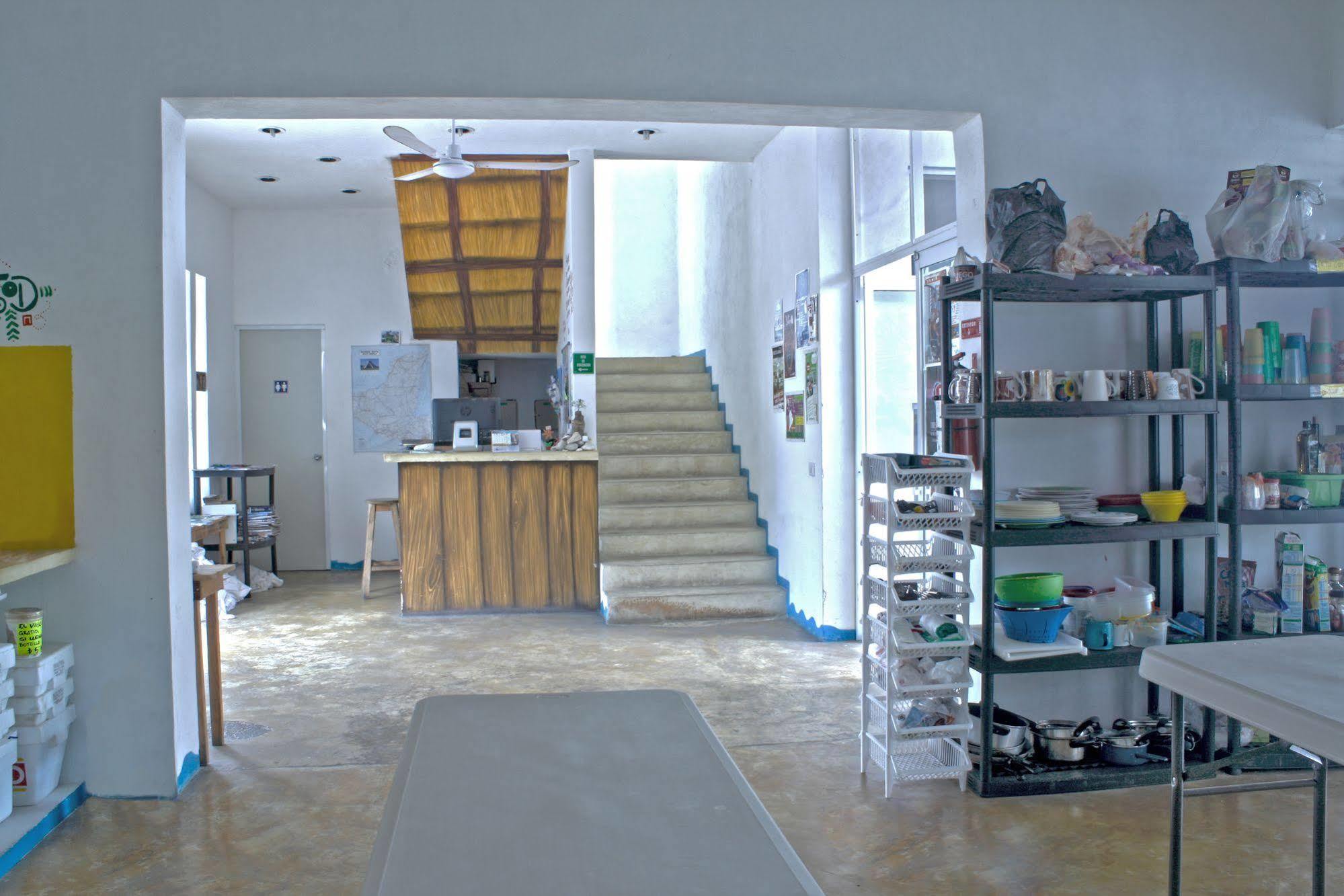 Hostal Vive La Vida Playa del Carmen Kültér fotó