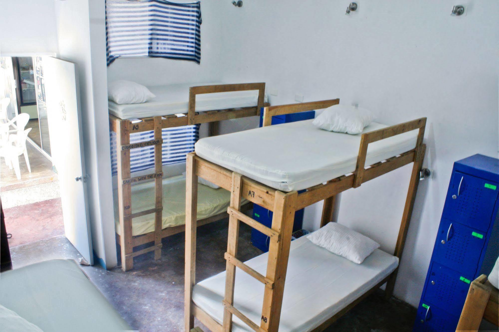Hostal Vive La Vida Playa del Carmen Kültér fotó